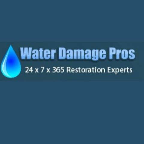 Jobs in Sayville Water Damage Pros - reviews
